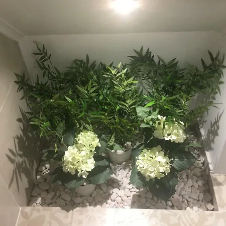 Suites Алкошети